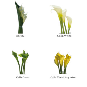 Callas