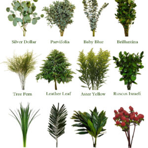 Greens & Fillers